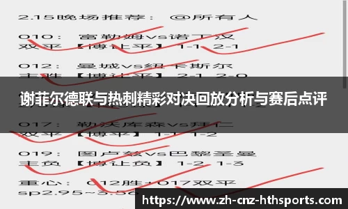 谢菲尔德联与热刺精彩对决回放分析与赛后点评